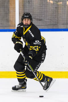 s Louise Nordberg Tenglin