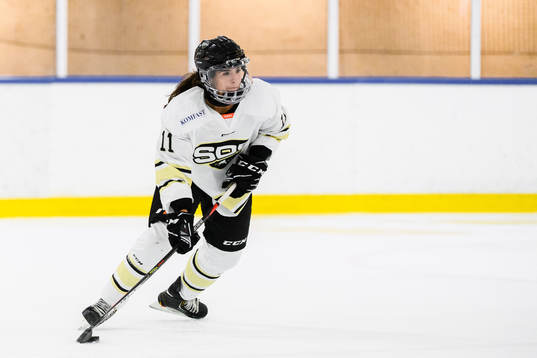SDEs Hanna Blomqvist