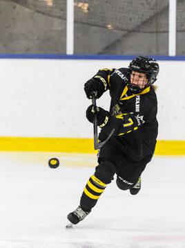s Linnea Hedin