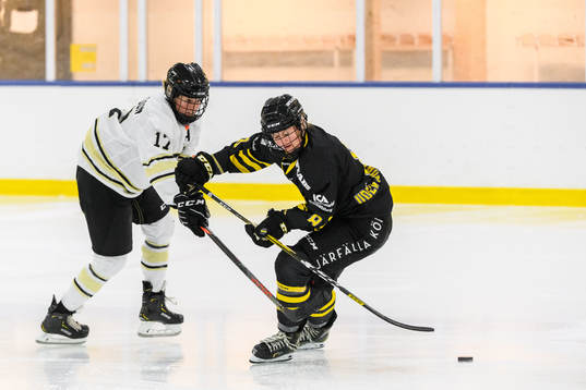 s Erica Uden Johansson