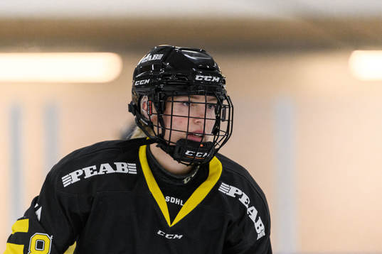 s Erica Uden Johansson