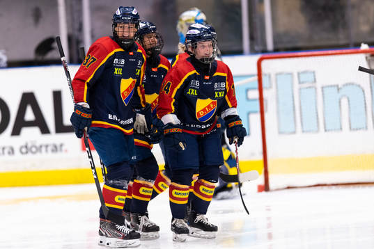 Djurgårdens spelare jublar
