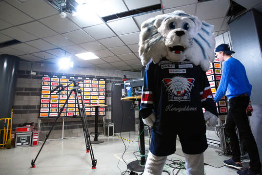 Linköpings maskot Sture