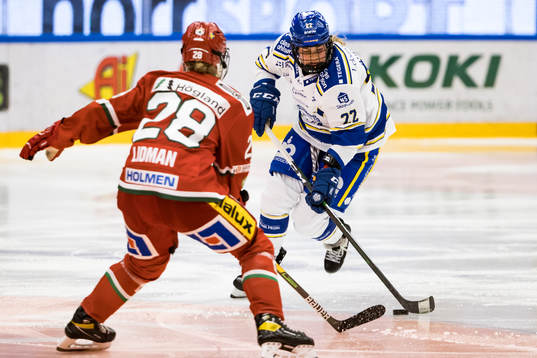 Leksands Dominique Rüegg