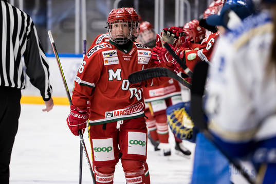 Modos Marion Allemozjubel