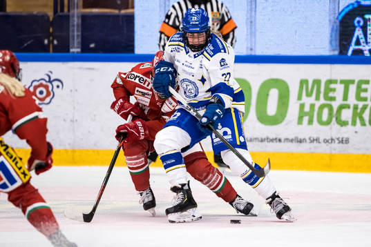 Leksands Dominique Rüegg
