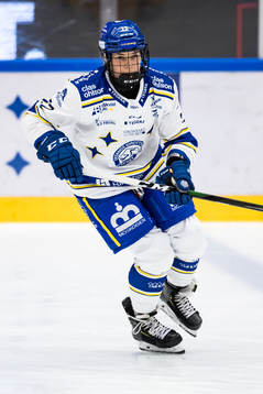Leksands Dominique Rüegg