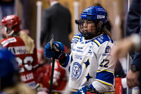 Leksands Dominique Rüegg