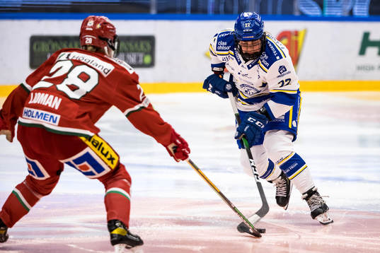 Leksands Dominique Rüegg