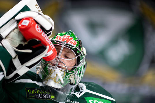 Färjestads målvakt Henrik Haukeland