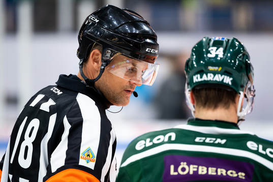 Domare Mikael Nord