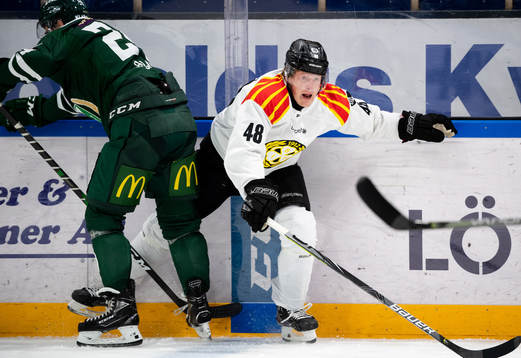 Brynäs Samuel Solem
