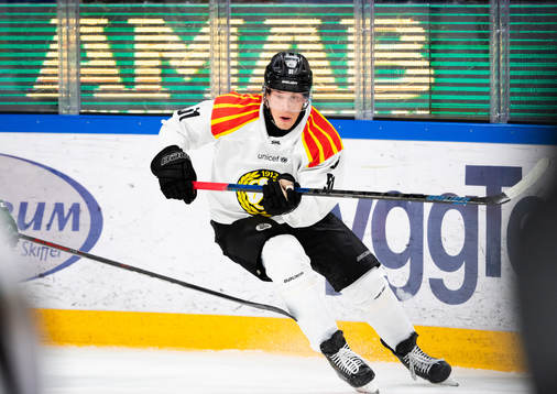 Brynäs Tomi Sallinen