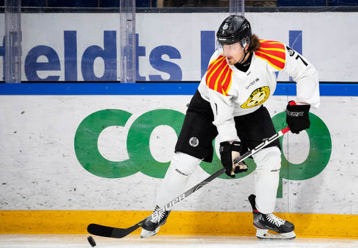 Brynäs Marcus Björk