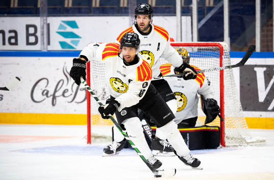 Brynäs Anton Rödin