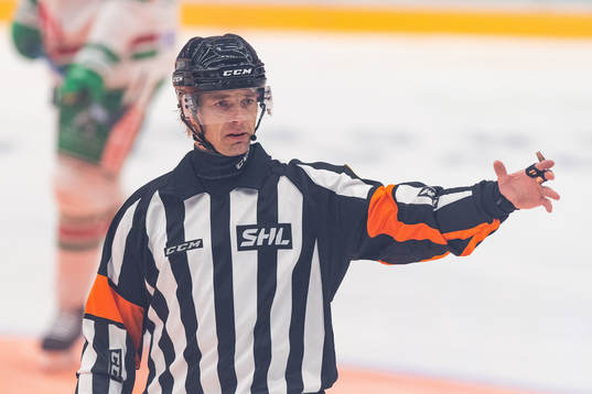 Domare Mikael Andersson