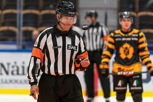 Domare Tobias Björk