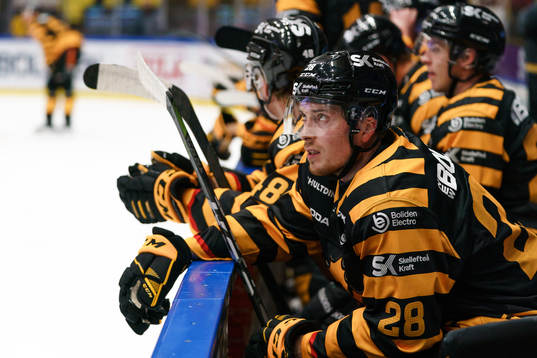 Skellefteås Jesper Frödén deppar i båset