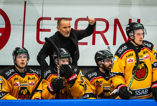 Luleås tränare Thomas Berglund