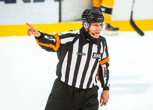 Domare Morgan Johansson