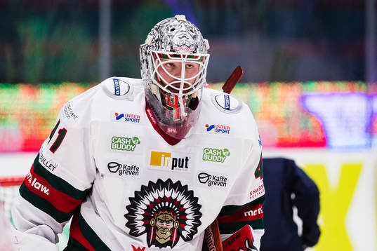 Frölundas målvakt Niklas Rubin