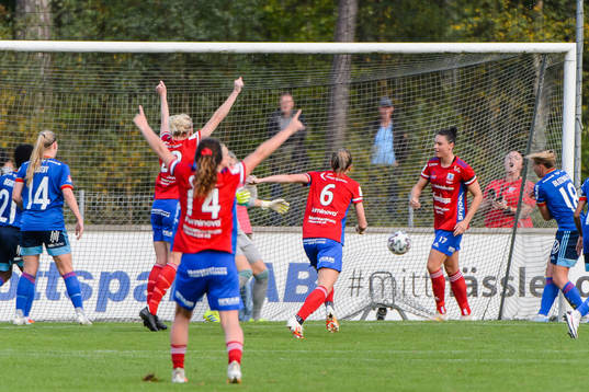Vittsjös spelare jublar