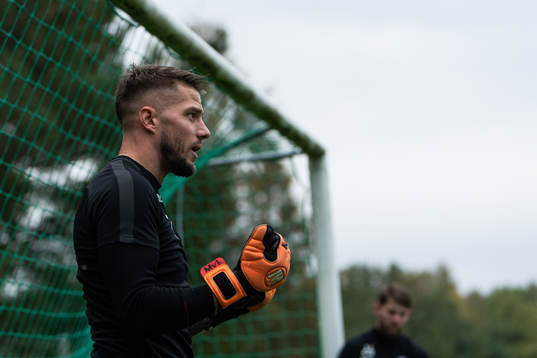 Alexis Mitrovgenis