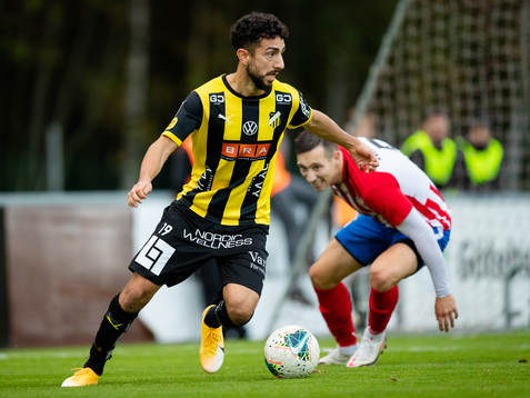 Häckens Daleho Irandust