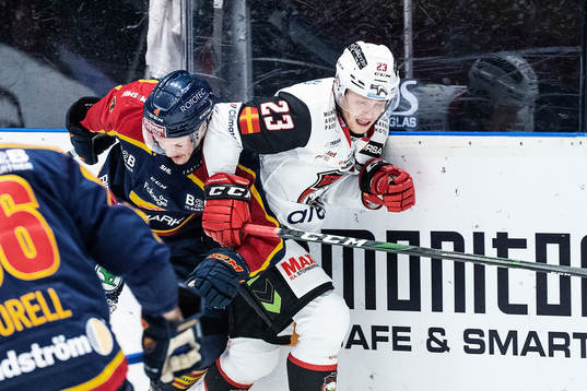 Djurgårdens Marcus Högström och Malmö Redhawks