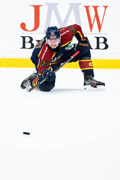 Djurgårdens Alexander Holtz
