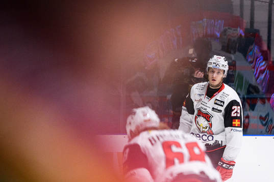 Malmö Redhawks Eric Engstrand deppar