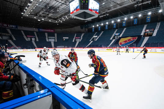 Bläddra bland fler bilder av Ishockey, SHL, Djurgården - Malmö Redhawks