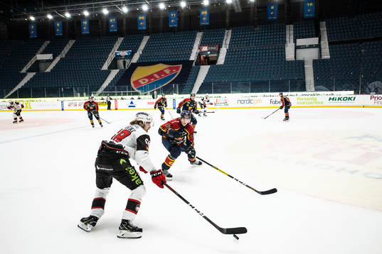Malmö Redhawks Adam Brodecki och Djurgårdens Tom Nilsson