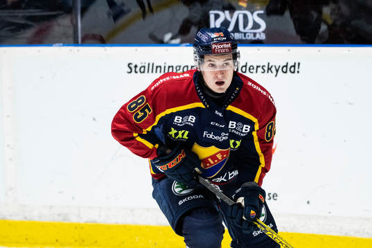 Djurgårdens Michael Haga