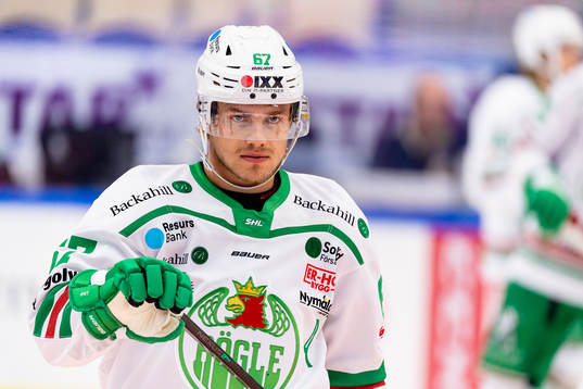 Rögles Leon Bristedt