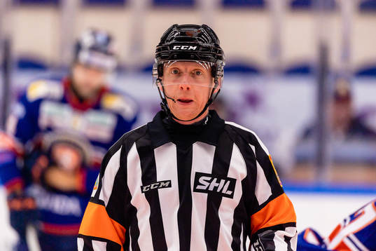 Domare Mikael Holm