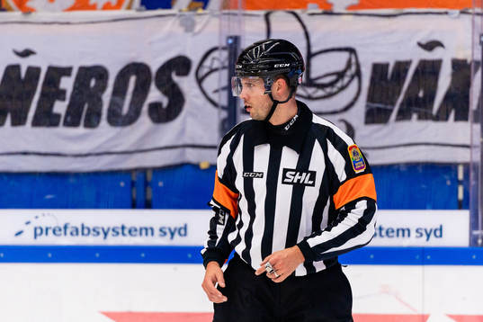 Domare Johan Magnusson