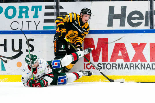 Skellefteås Tyler Morley