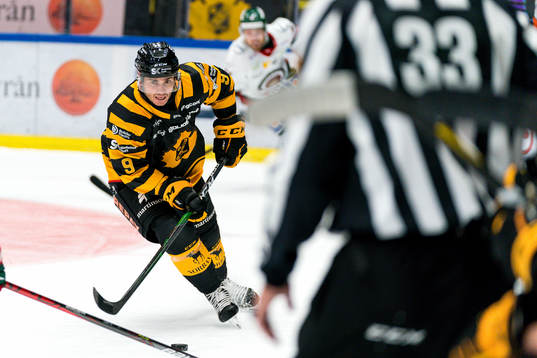 Skellefteås Darren Nowick