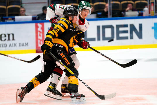 Skellefteås Andreas Wingerli och Frölundas Robin Alvarez