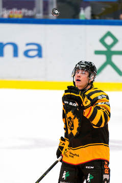 Skellefteås Rickard Hugg