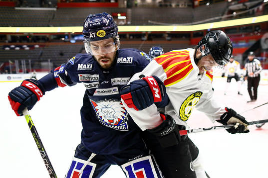 Linköpings Oula Palve, Brynäs Emil Molin