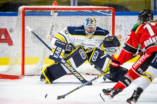 s målvakt Hugo Alnefelt