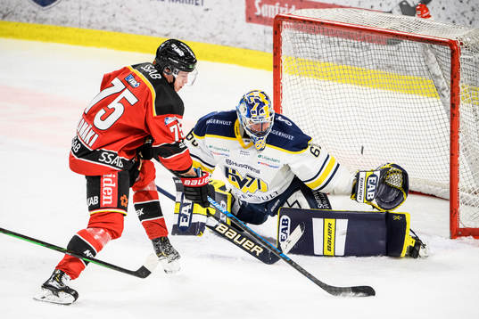 s målvakt Hugo Alnefelt