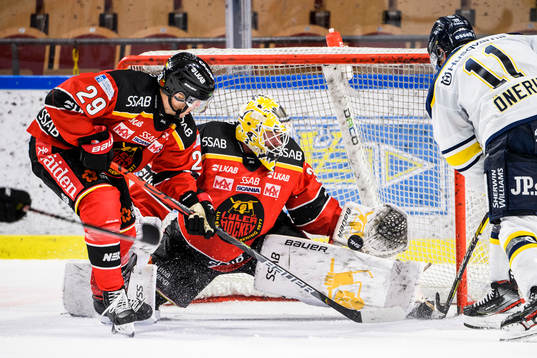 Luleås målvakt David Rautio