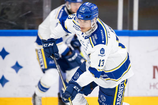 Leksands Jon Knuts