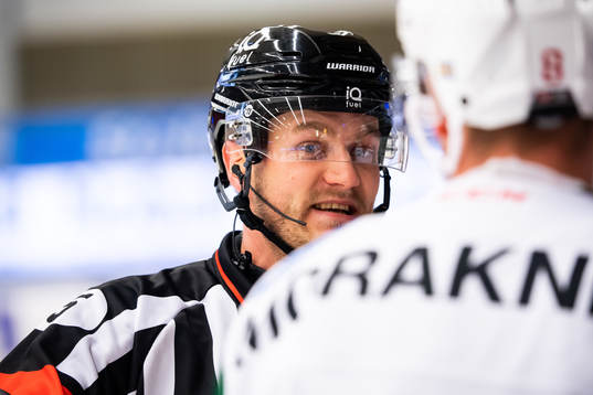 Domare Daniel Eriksson