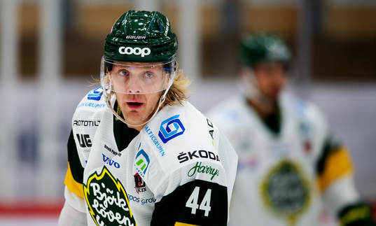 Björklövens Olle Liss