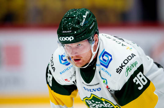 Björklövens Carl Grundström