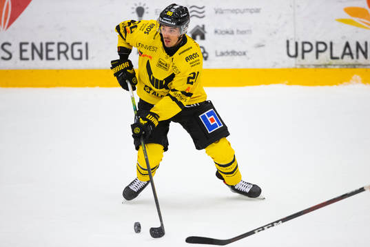 Västerås Henrik Hetta